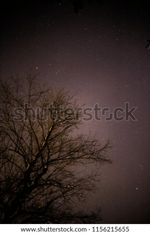 Night Sky and tree 2