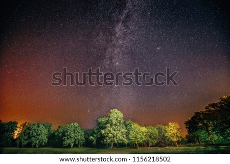 Milky Way Galaxy In Night Starry Sky Above Tree In Summer Forest. Glowing Stars Above Landscape. View From Europe.