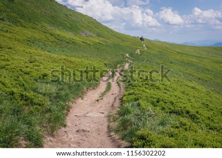 Path from Osadzki Wierch mountain in Bieszczady National Park, Subcarpathian Voivodeship of Poland