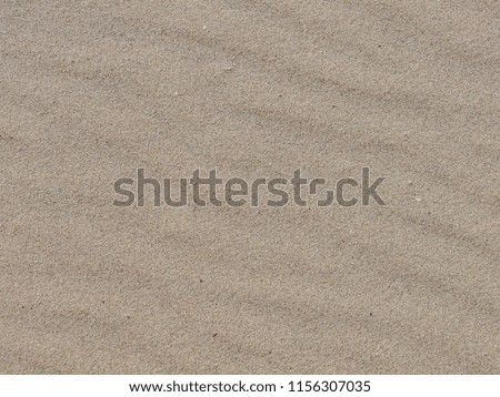 Sea sand background. Black sea beach.