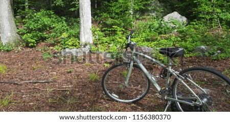 Empty vintage bike in the forest of Massachusetts, USA