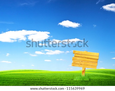 Road sign in green grass field over blue sky background