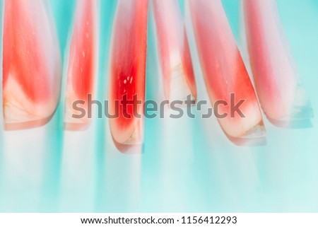 Slices of watermelon on a blue background, creative summer food concept, abstract red, white, blue blur background