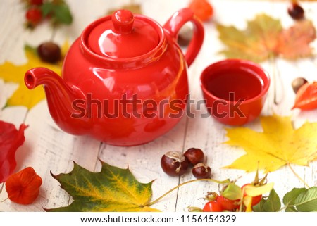 Autumn cozy tea drinking.red teapot, cup with tea, maple bright leaves, chestnuts, dogrose on shabby chic background.Autumn time