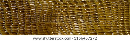 crocodile skin texture, background, green marsh pattern. Lacquered