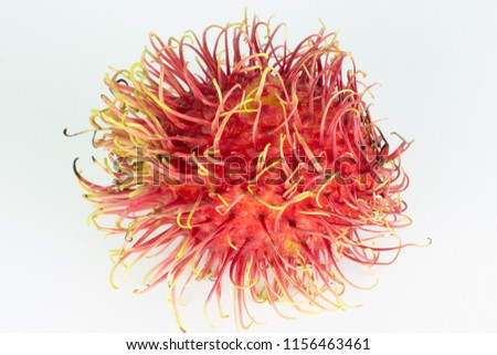 rambutan , red hairy skin fruit sweet and delicious, thai famous tropical fruit on white background