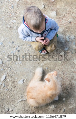 A little boy on the street is feeding a street red cat.