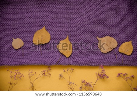 Purple knitted texture. purple clothes and purple dry yellow flowers and leaves. autumn concept.