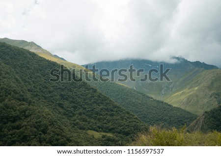A colorful picture with a green forest on a mountain hill. A tourism in summer. Nice scenic panorama. 