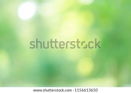 Green bokeh nature abstract background