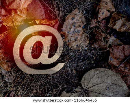 Wooden E-mail address symbol, arroba icon on dry leaves background with sunlight. E-mail marketing online internet, technology and environment concept.