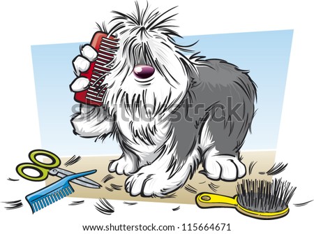 Shaggy dog brushing his fur