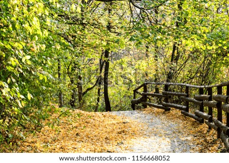 The bright autumn path leads through the woods, stairs and bridges to the picturesque waterfall Veliki Buk in Serbia