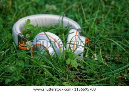 Headphone lies on green grass in sunny day, business concept.