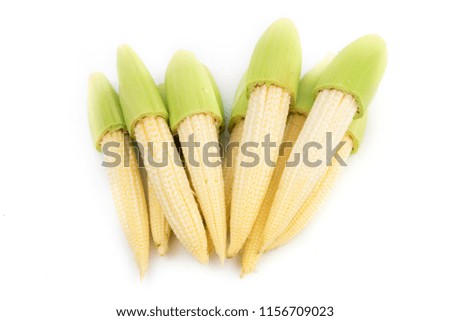 Fresh Baby corn on white background