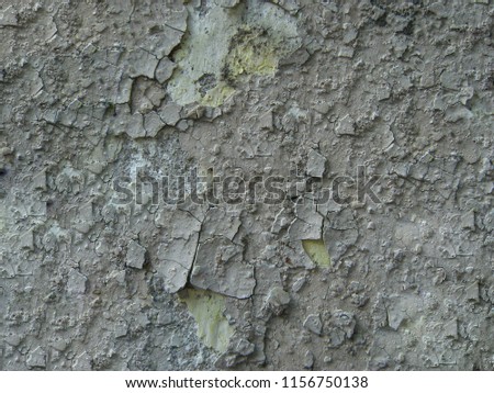 Photography background. Gray plaster.