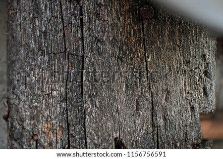 Photo of a wood textures that can be used for mock ups, design, art and patterns, background and textures.