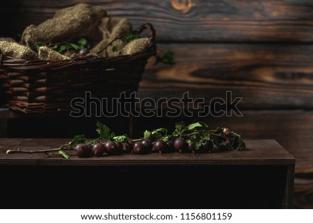 Red gooseberry on branches in a rustic background