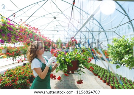 Working in greenhouse