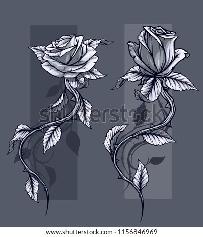 Graphic detailed black and white roses flower with stem and leaves. On gray background. Vector icon set. Vol. 7