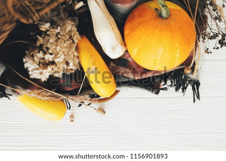 Pumpkin and zucchini in wicker basket on white wooden background. Happy Thanksgiving and Halloween. Harvest and hello autumn concept. rustic image