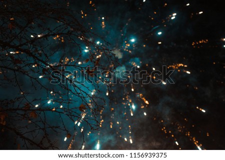 A beautiful firework shot.
with a dark tree on the left side.
