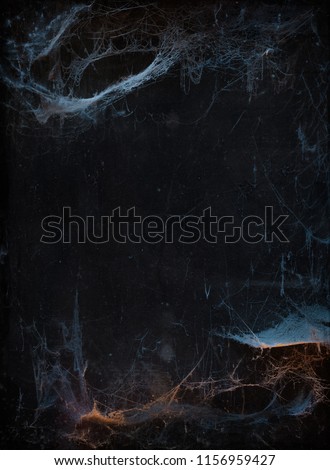 Halloween background with copyspace. Old terrible cobweb in darkness 