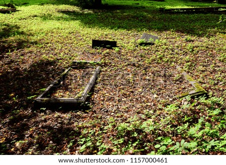 Remnants of old World War I tombstones covered by leaves and overgrown by shrubs and grass found in the middle of a public park during a hot summer day in Poland.