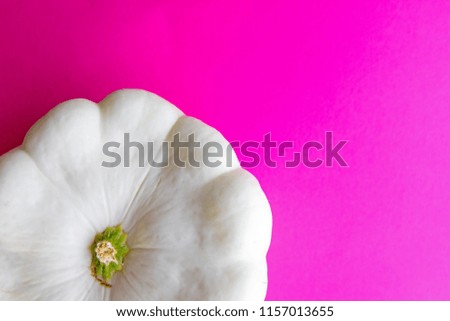 Half of white grown raw squash vegetable at bright pink background. Free place to write an inscription or paste text