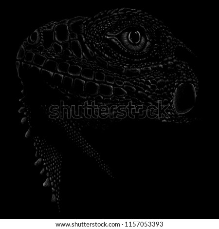 The Vector logo reptile for T-shirt design or outwear.  Hunting style dragon background.