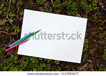 white blank paper leaf and colored pencils on the ground amongst green plants