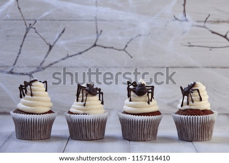Festive Halloween cupcakes with chocolate spiders in a row on white wooden planks in blue moonlight, spider web background