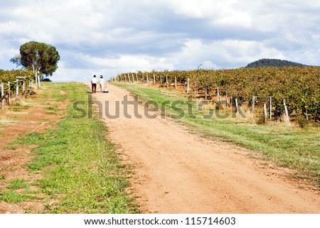 a loving couple walking on a pathway in a vineyard on a bright and beautiful sunny day at hunter valley sydney australia