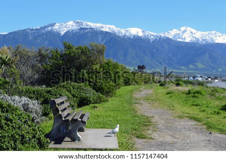 Bench with snow capped mountain background