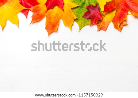 Autumn frame with  colorful marple leaves on white wood  background with Copy space.  Flat lay, top view
