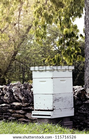 Beekeepers hive near a rock wall in an apple orchard. Shallow depth of field.