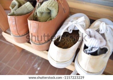 a toad in old sneaker top on low shoe rack
