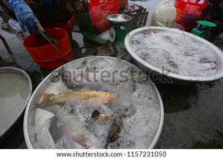 PhuQuoc Fish Market 