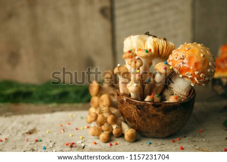 Magic fairytale party table decor, mushroom with confectionary in cup on wooden background, poison toxic food