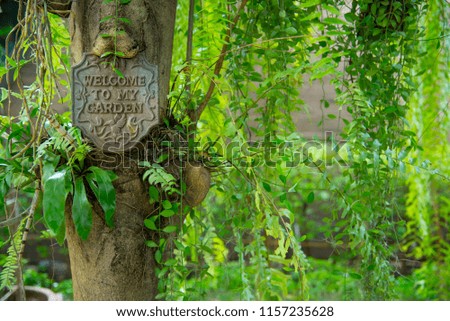 There is a sign hanging from the tree which is in the Green garden with a lot of plants around.
