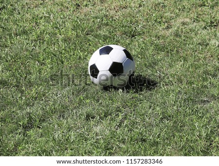 soccer ball lies on the green lawn grass before the game
