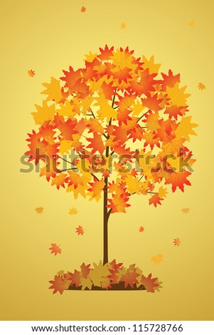 autumn Tree