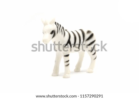 Zebra model isolated on white background, animal toys plastic