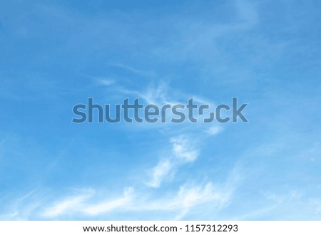sky  blue  background