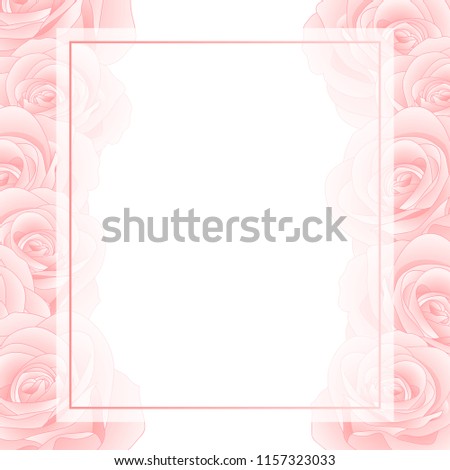 Beautiful Pink Rose Banner Card Border - Rosa isolated on White Background. Valentine Day. Vector Illustration.
