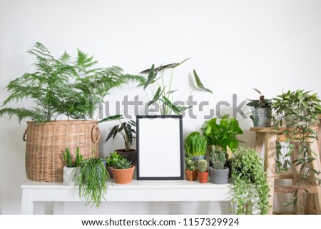 Mock up frame poster with houseplants in room. Lifestyle home decor and tree lover concept
