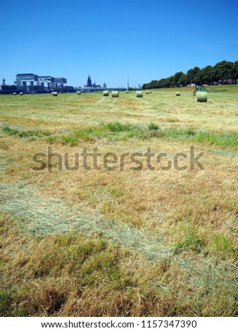 hay bales at rhein river in cologne with the blue sky in the background and the crane houses