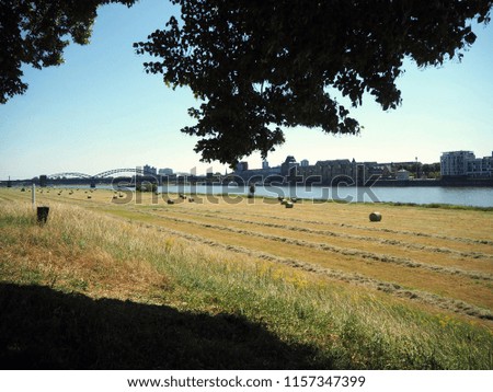 hay bales at rhein river in cologne with the blue sky in the background and the crane houses