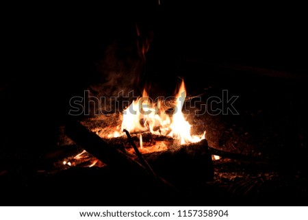 Camp fire in summer
