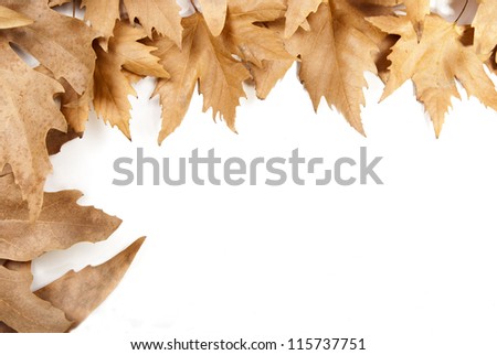 Frame of Autumn leaves on white background